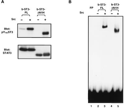 FIG. 6