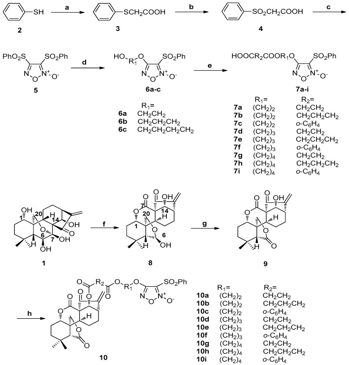 Scheme 1