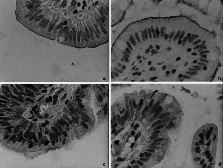 Fig. 2