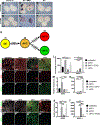 Figure 6: