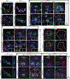 Figure 5:
