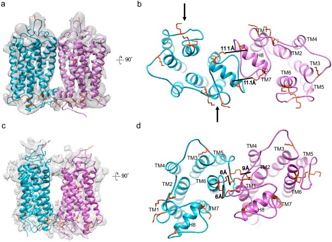 Figure 5.