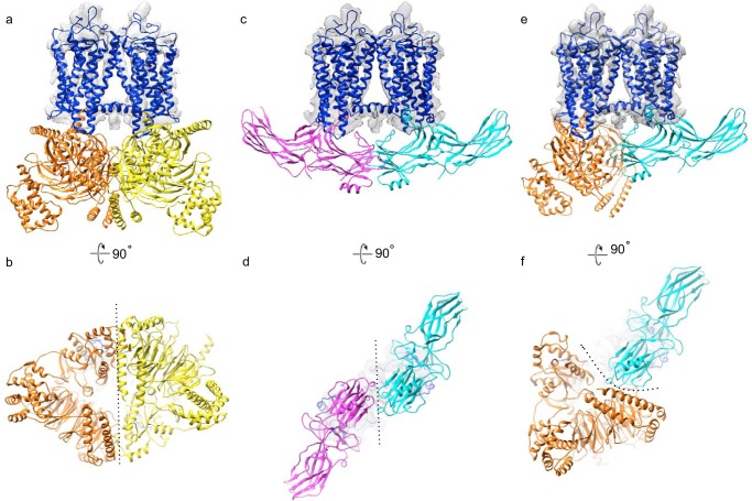 Figure 10.