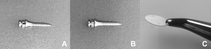 Figure 1. Materials investigated. (A) Morelli mini-implant. (B) Neodent mini-implant. (C) Polystyrene, used as control.