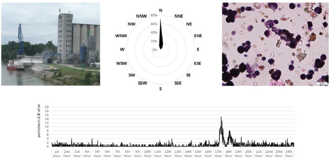 Image, graphical abstract