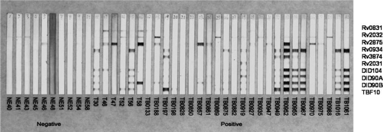 FIG. 5.