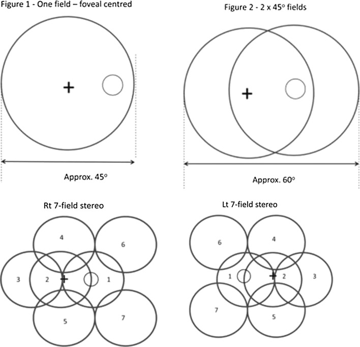 Fig. 1