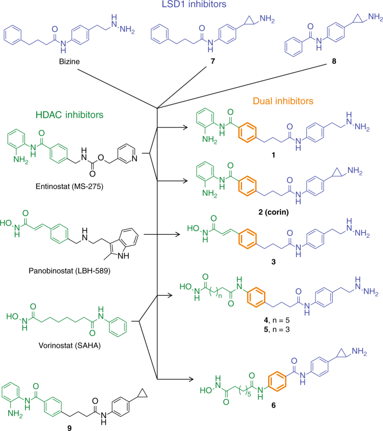 Fig. 1