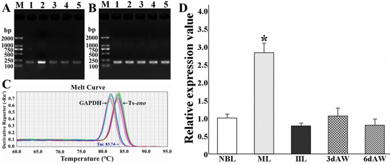 Figure 7