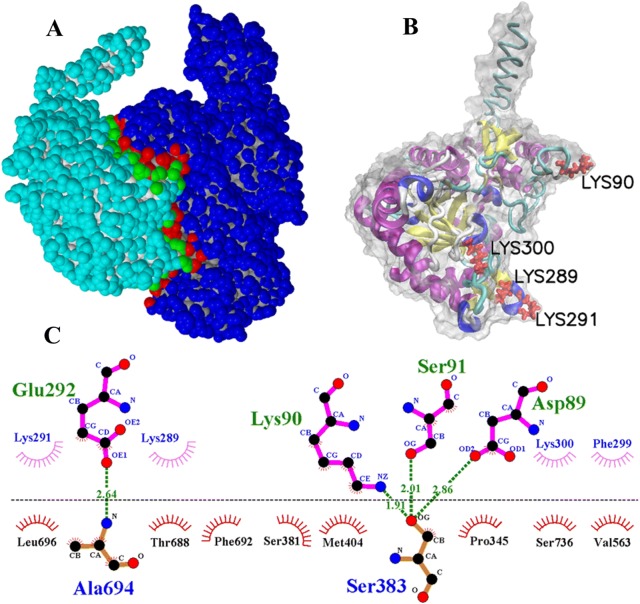 Figure 4