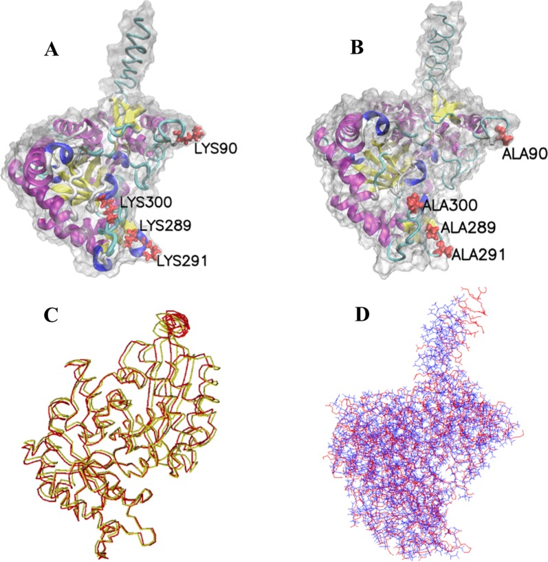 Figure 5