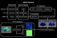 graphic file with name HBM-42-3481-g003.jpg