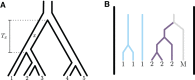 FIG. 2.