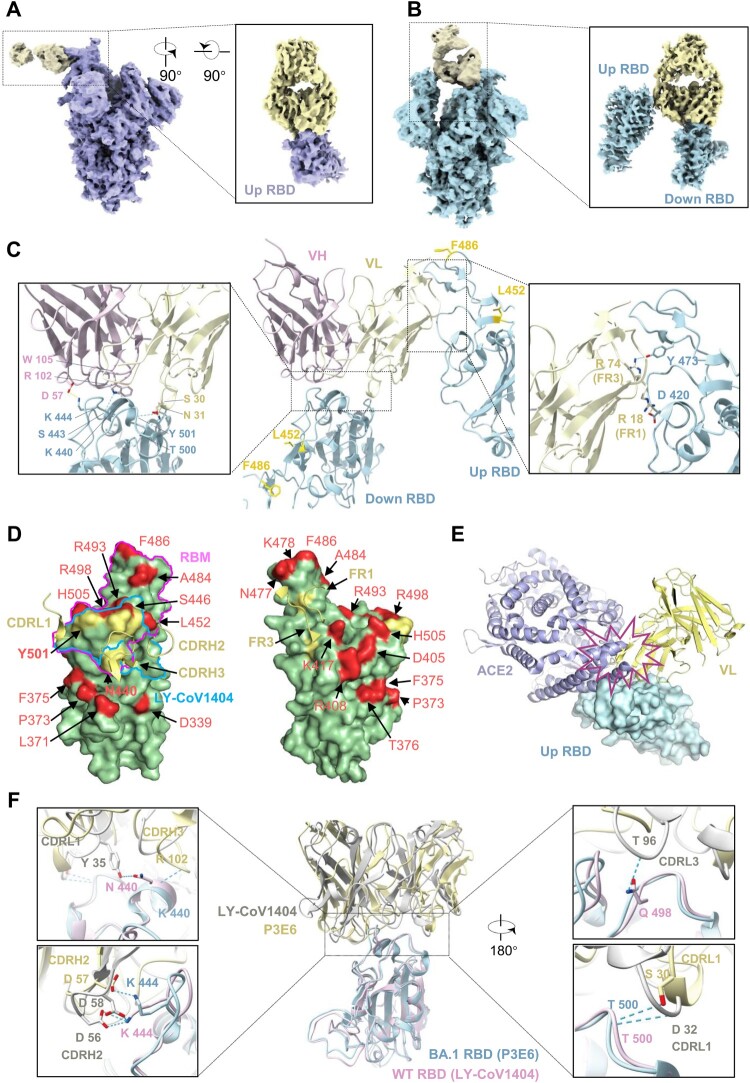 Figure 6.