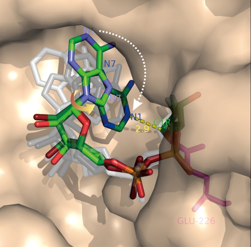 FIGURE 3.