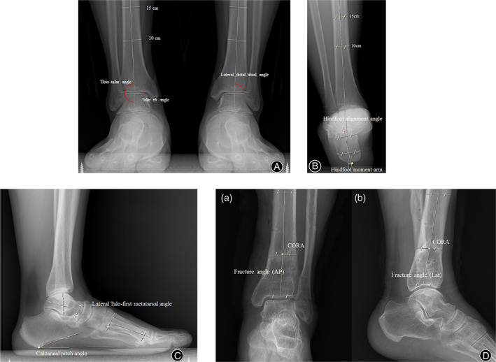 Fig. 1