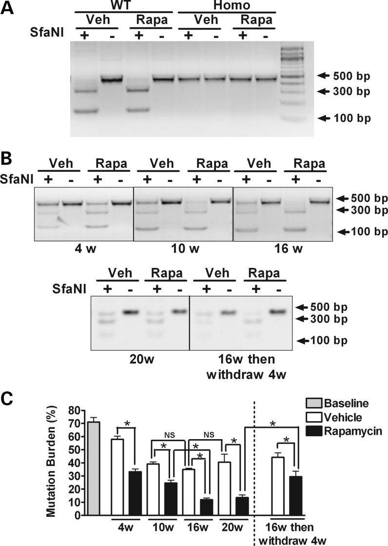 Figure 2.