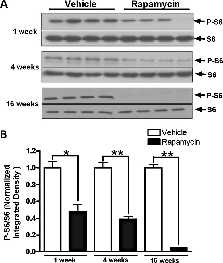 Figure 1.