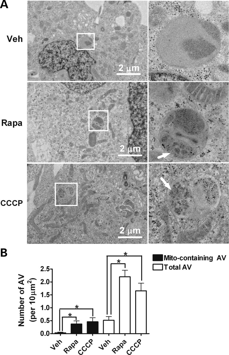 Figure 5.