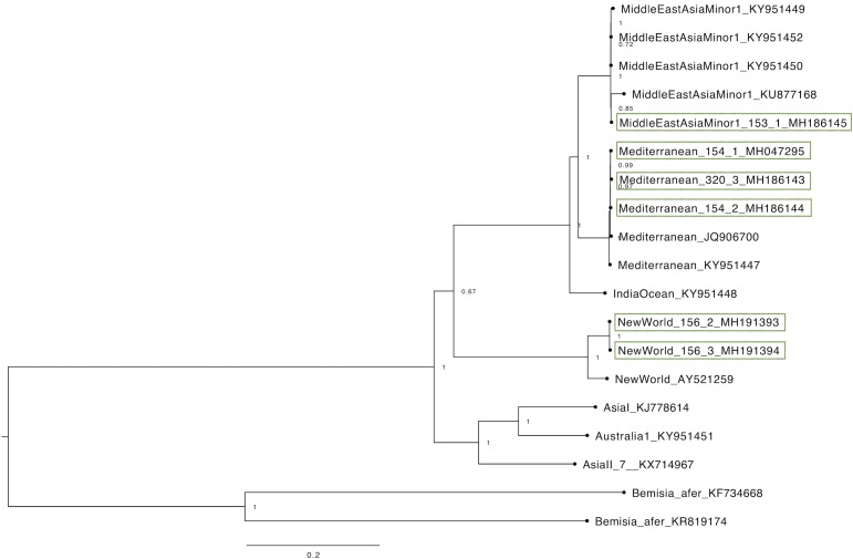 Fig 3