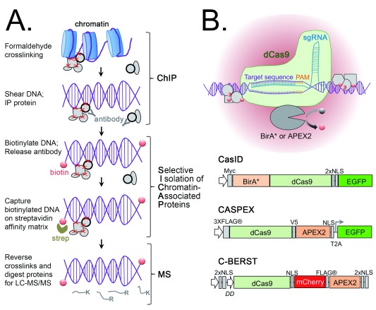 Figure 3. 