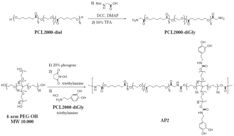 Scheme 2