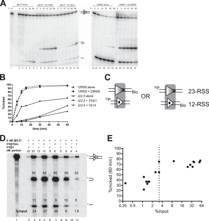 FIG 2