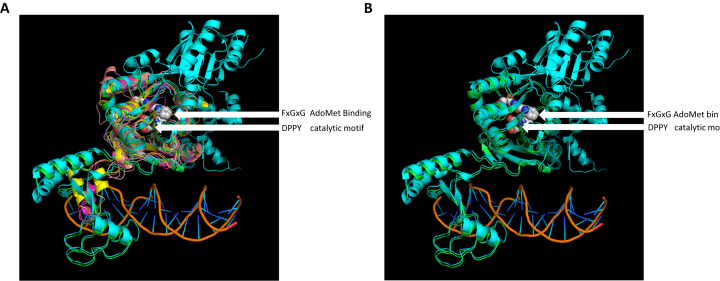 Figure 6.