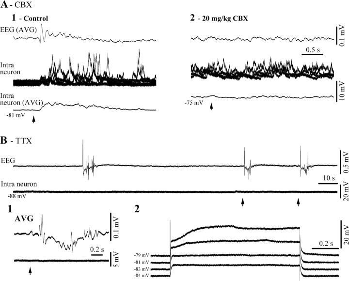 Figure 9.