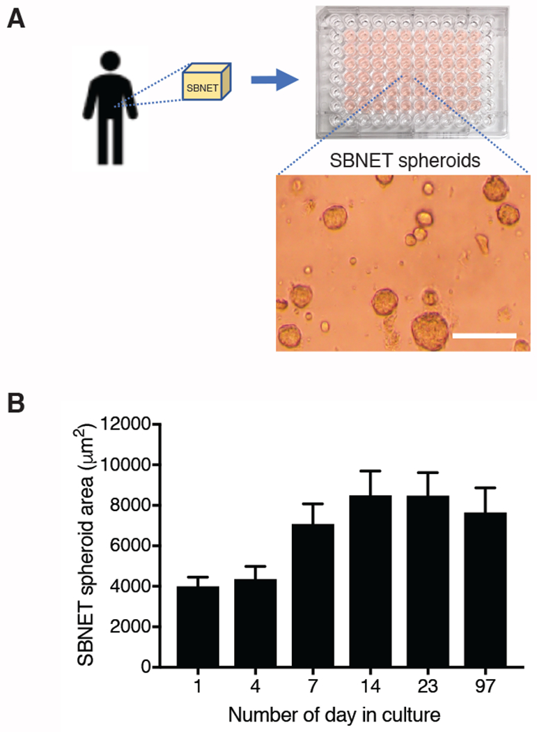 Figure 1: