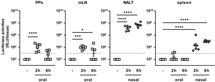 Figure 3