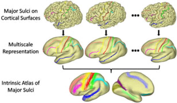 Fig. 1