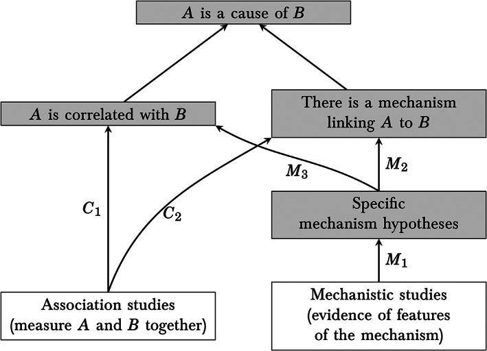 FIGURE 1