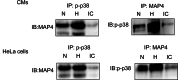 Fig. 8