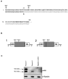 Figure  2.