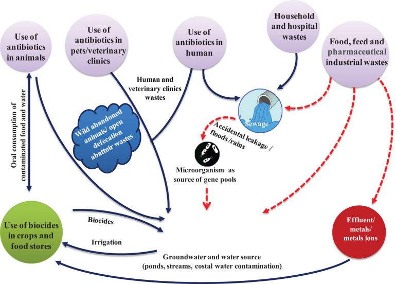 FIGURE 2