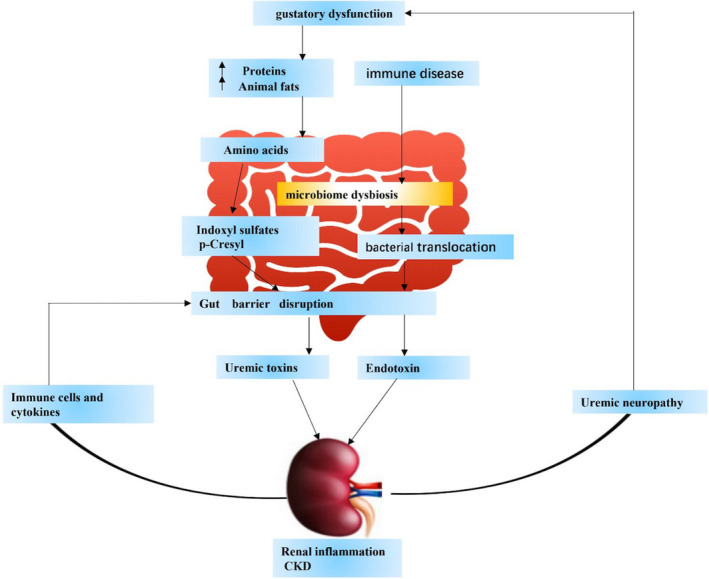 FIGURE 1