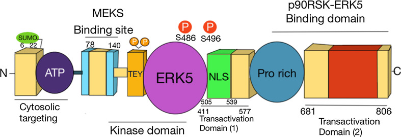 Fig. 4