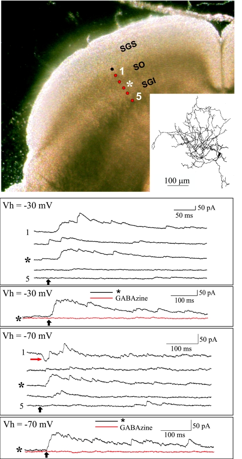 Fig. 3.