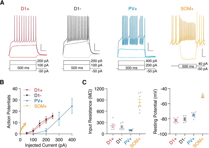 Figure 5.