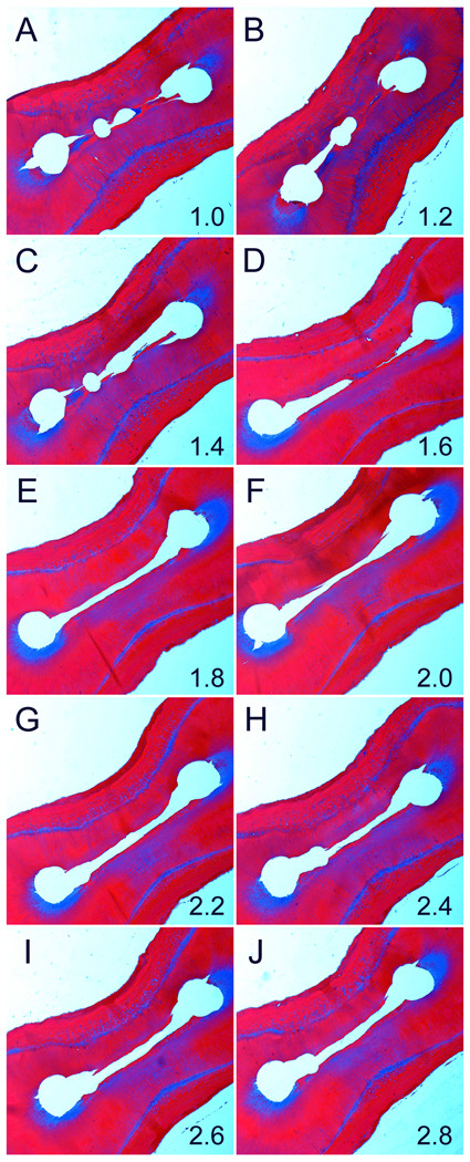 Fig.6