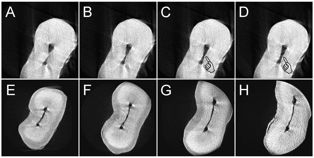 Fig.4