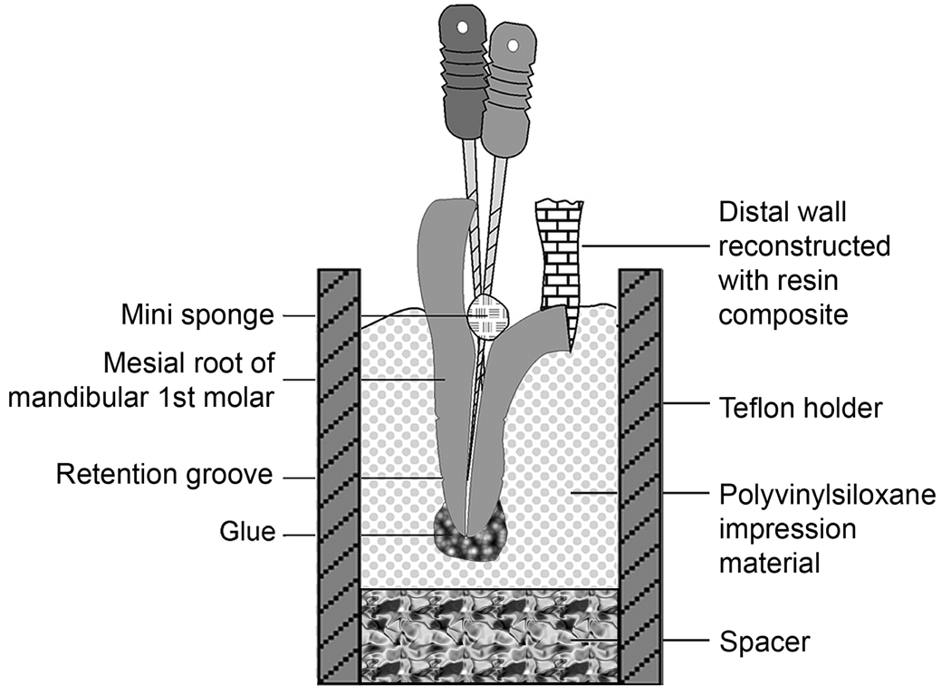 Fig.1