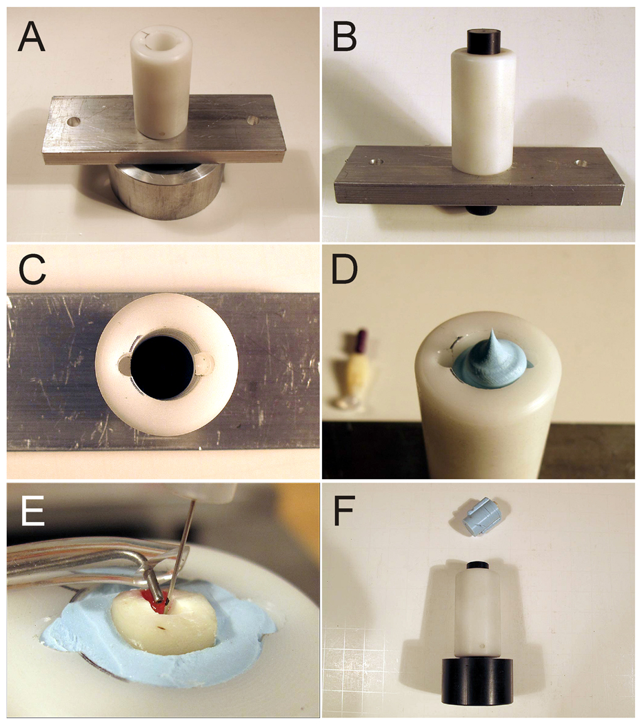 Fig.2