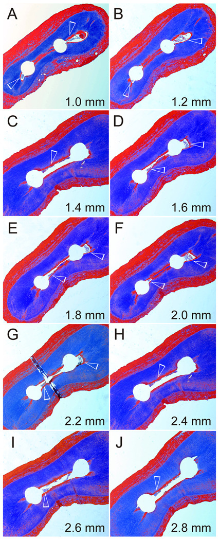 Fig.5