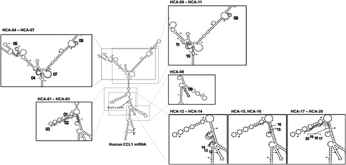 FIG. 1.