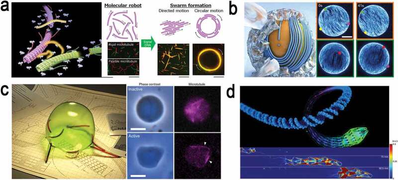 Molecular Swarm Robots Recent Progress And Future Challenges PMC