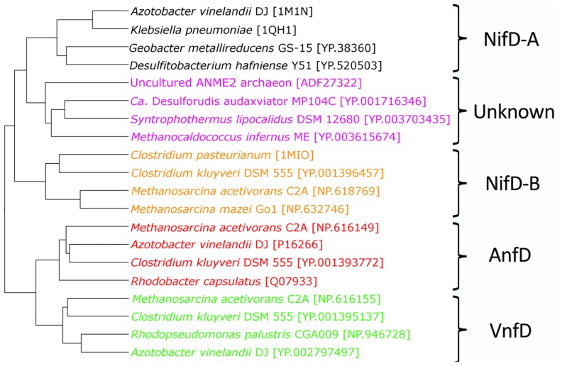 FIGURE 4