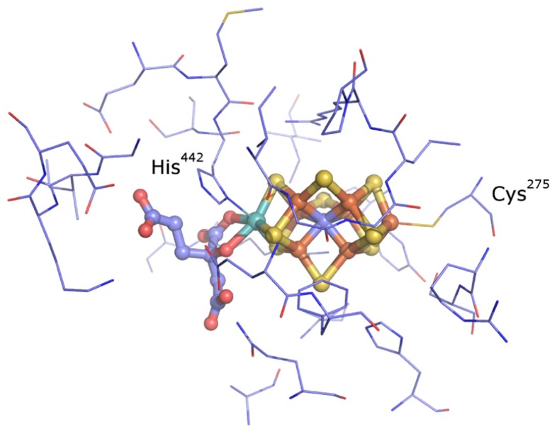 FIGURE 1