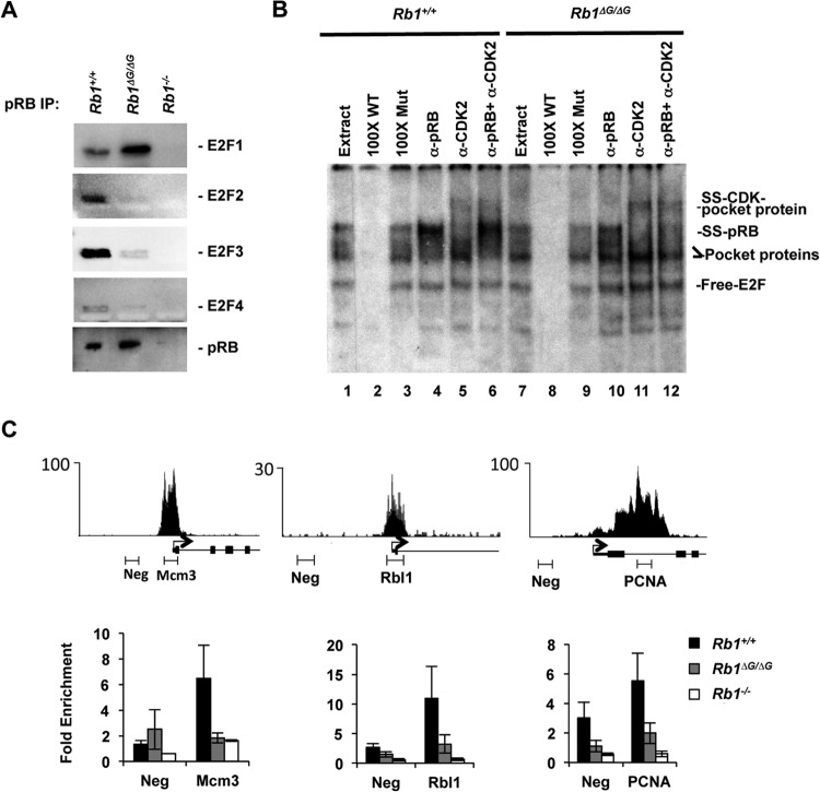 FIG 4